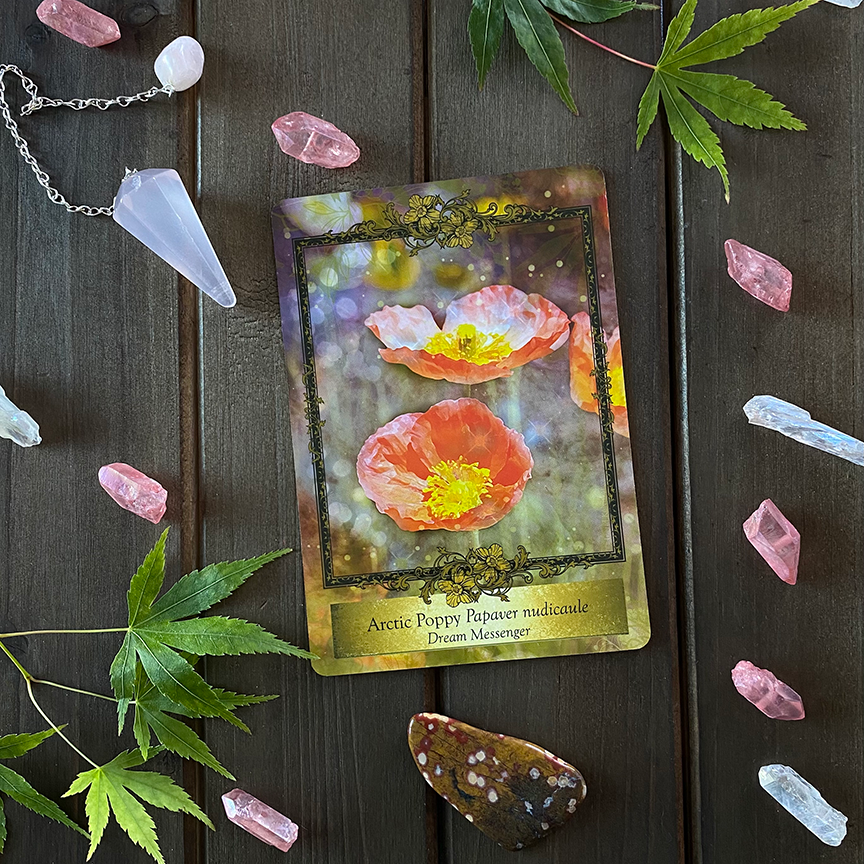 Arctic Poppy + Quartz, Alchemy Farm Flower Essence