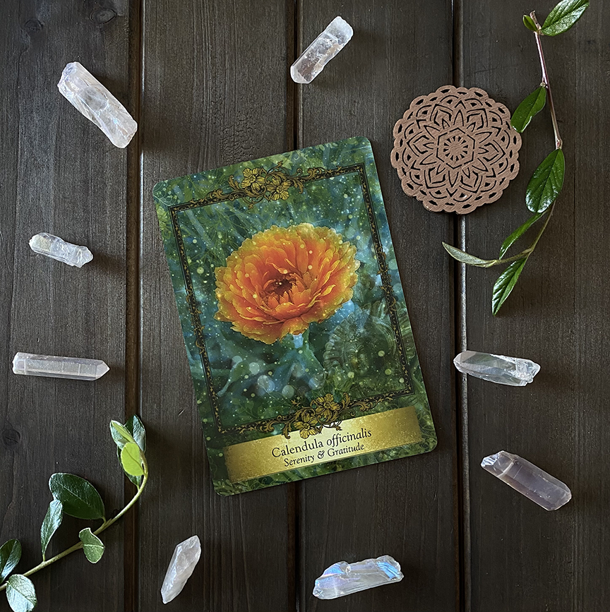 Calendula + Rose Quartz, Alchemy Farm Flower Essence