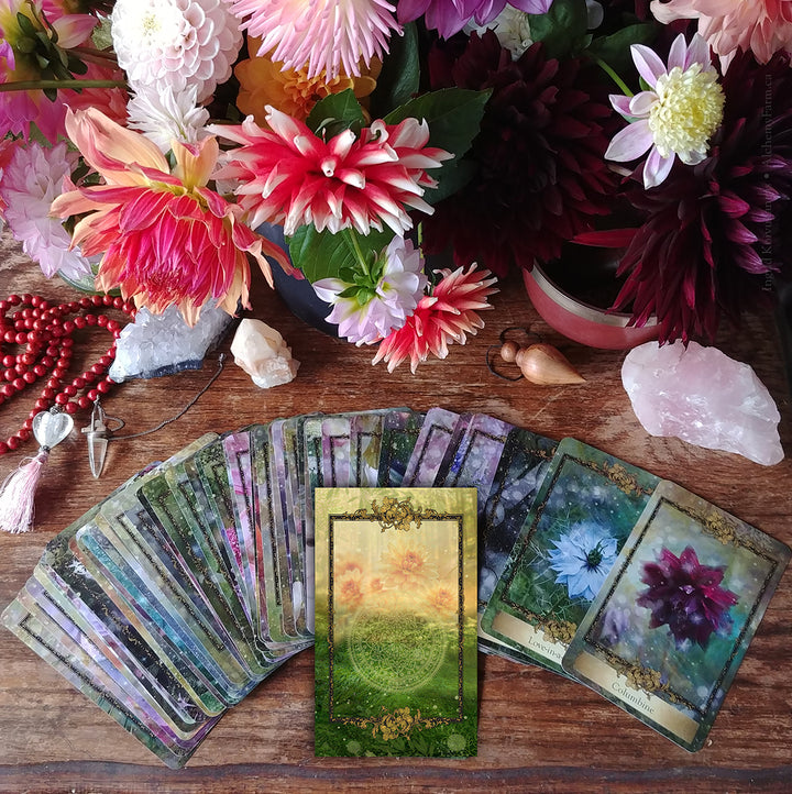 Alchemy Flower Oracle ~ Messages from Flowers