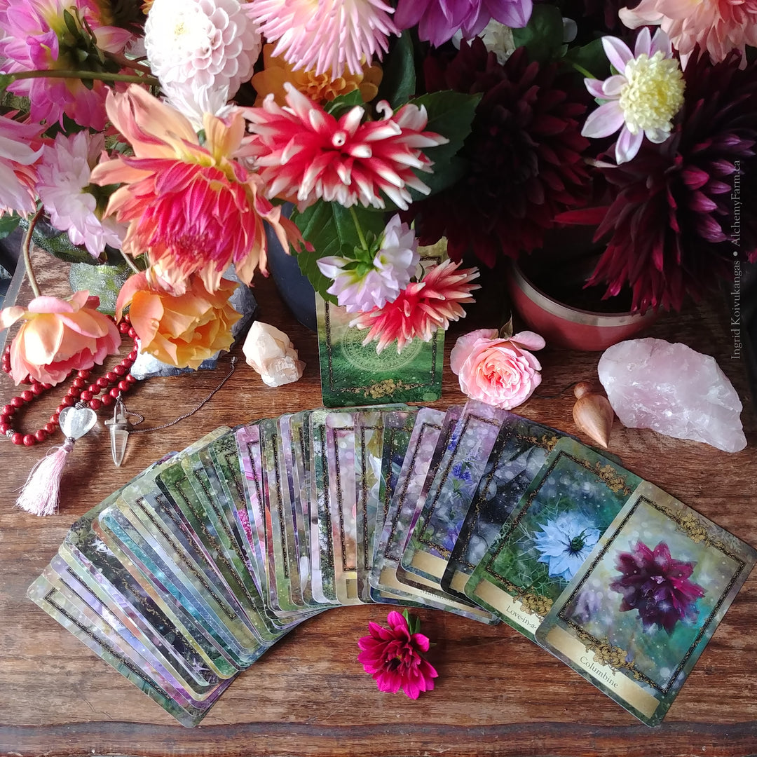 The Alchemy Flower Oracle - Becoming a Flower Apprentice for the Earth