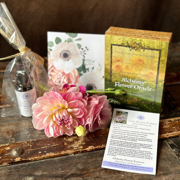 Floral Wisdom Gift Set: Alchemy Flower Oracle + Healing Flower Essence