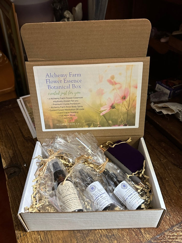 Alchemy Farm Botanical Gift Box: A Magical Gift for Flower Lovers, Gardeners and Nature Lovers