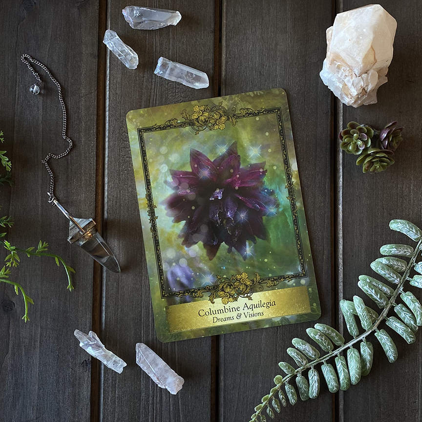 Alchemy Farm Flower Essence: Columbine + Rose Quartz