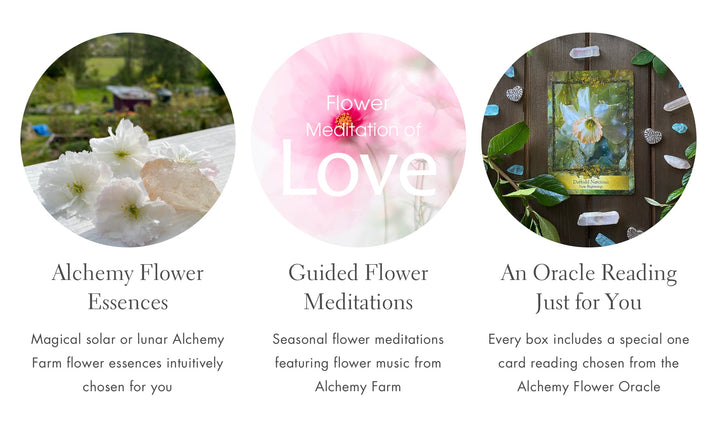 A Magical Gift for Flower, Garden and Nature Lovers