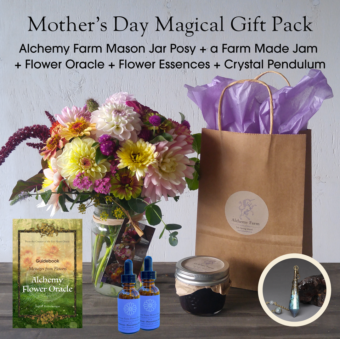 Mother's Day Magical Gift Pack