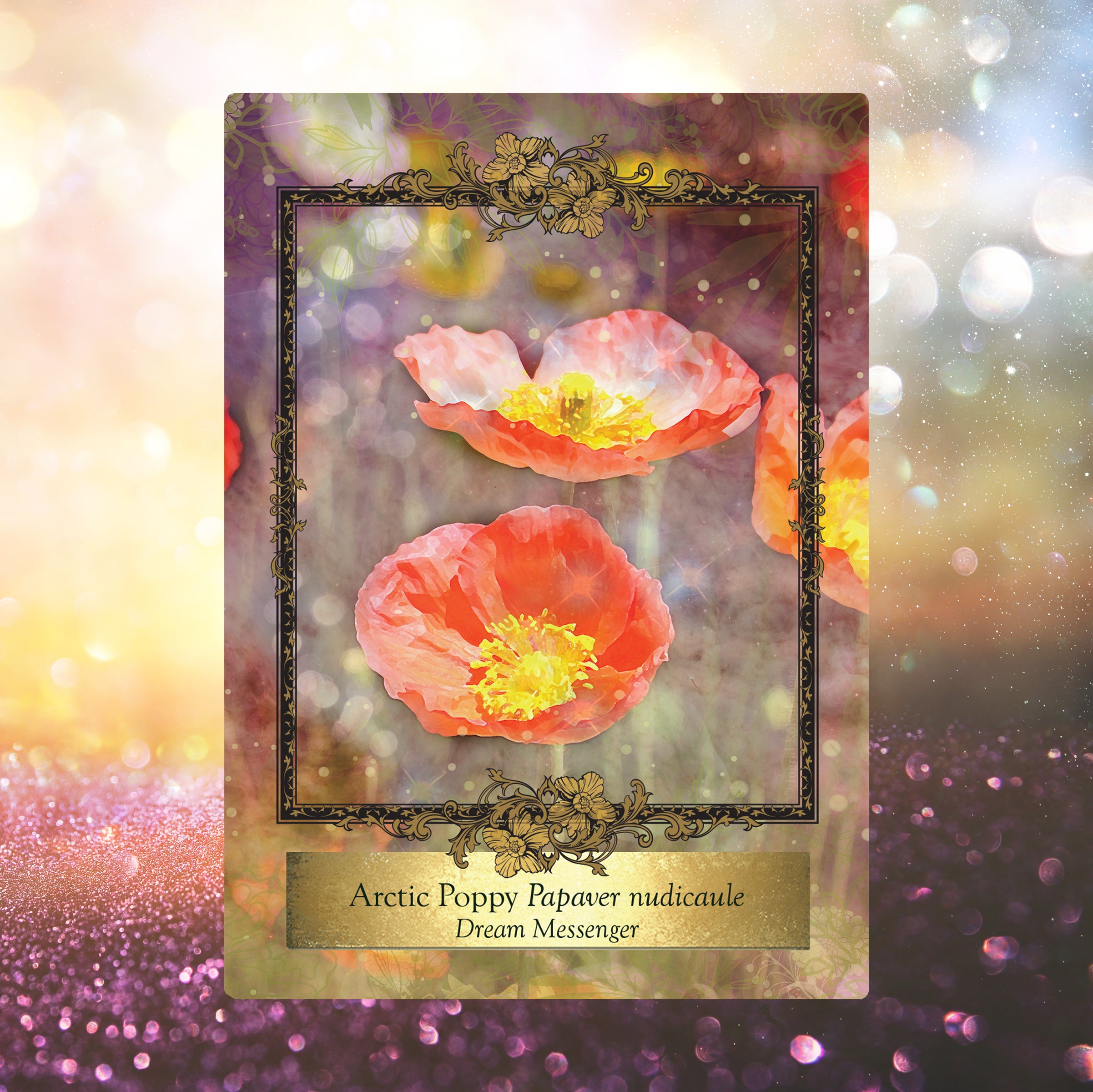 Alchemy Flower Oracle ~ Messages from Flowers – Alchemy Farm