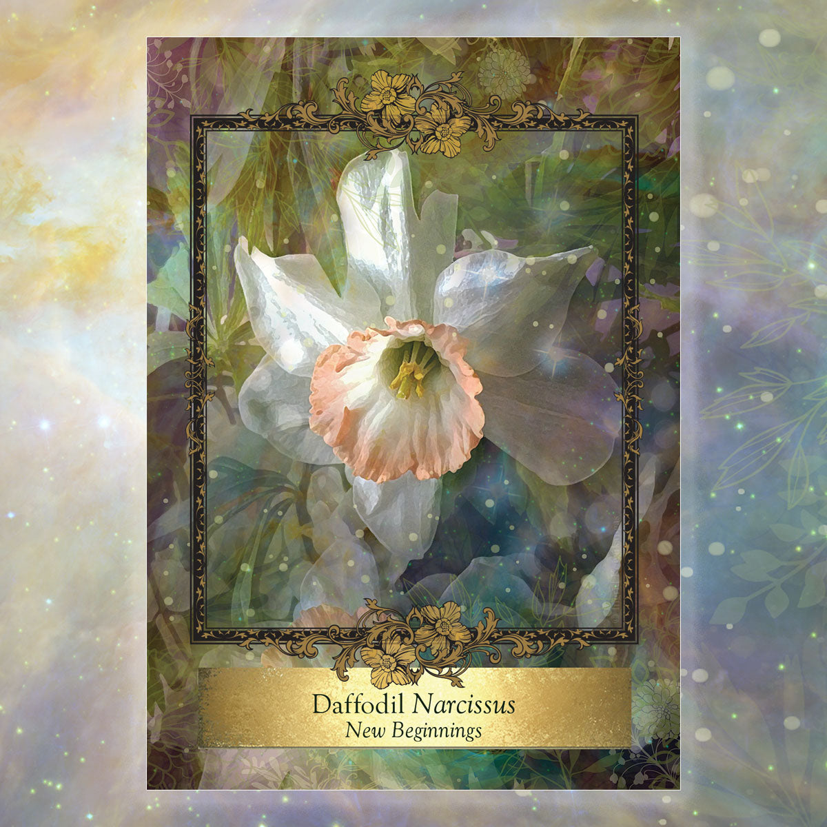 Sister Deck Bundle: Alchemy Flower and Eco Heart Oracle