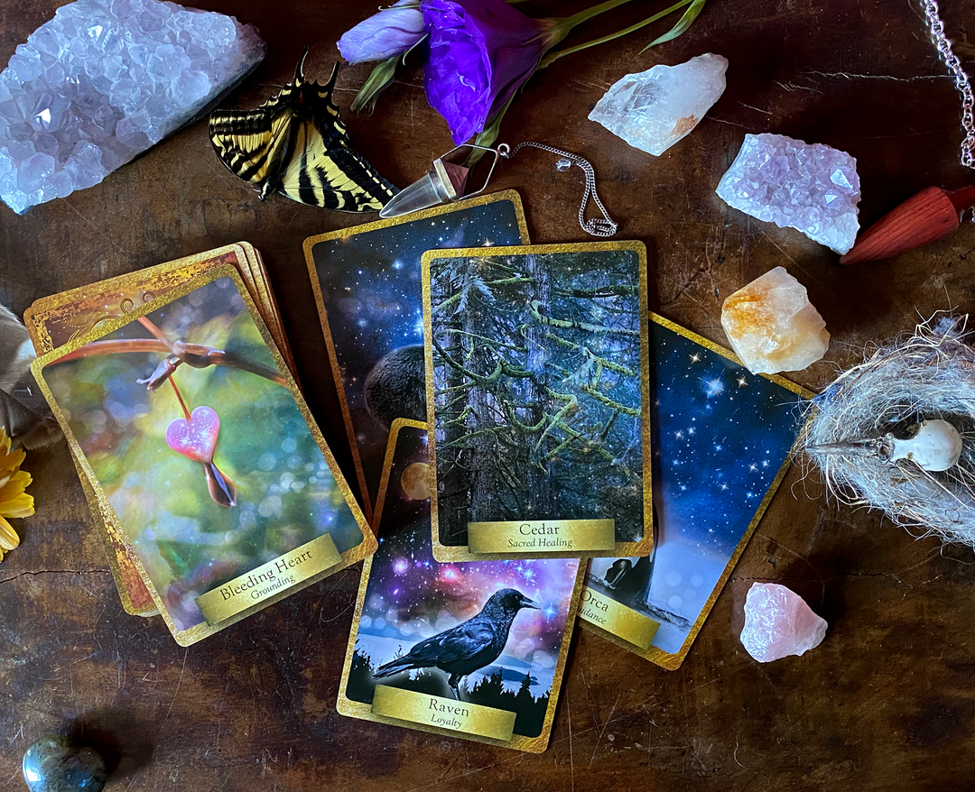 Eco Heart Oracle ~Messages from the Earth and Nature