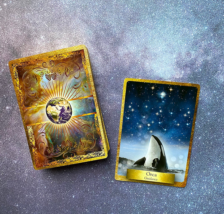 Sister Deck Bundle: Alchemy Flower and Eco Heart Oracle