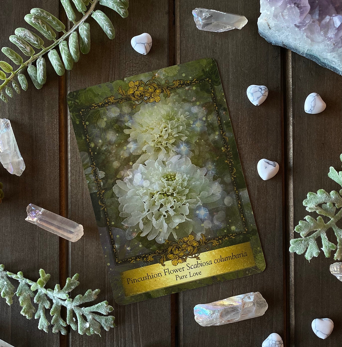 Alchemy Flower Oracle ~ Messages from Flowers – Alchemy Farm