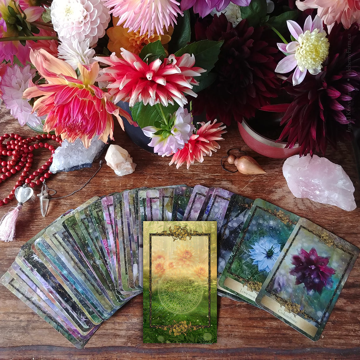 Alchemy Flower Oracle ~ Messages from Flowers