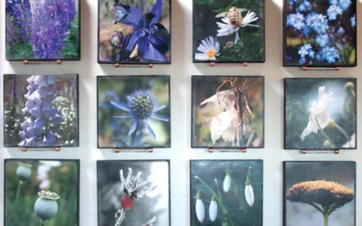 Finding My Way Back with Flower Guides