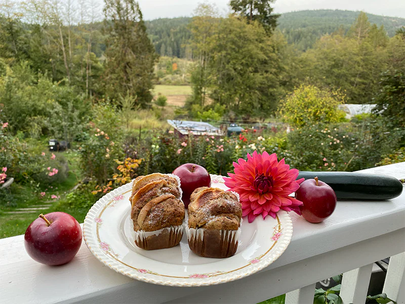 Delicious Zucchini Banana Apple Cake: Gluten Free and Egg Free!