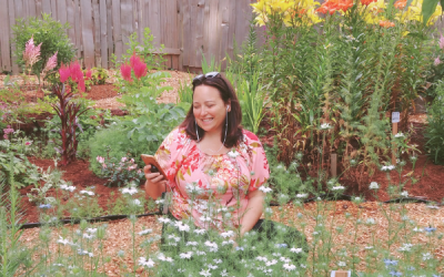 Alchemy Farm Sound Garden – Interactive Sound Installation and Garden Tour Reopens in Summer 2020