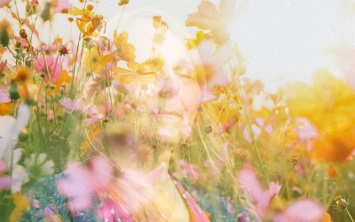 Full Super Pink Moon Flower Essences: A Visit from the Fairy Realm